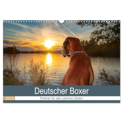 Abbildung von Deutscher Boxer (Wandkalender 2025 DIN A3 quer), CALVENDO Monatskalender