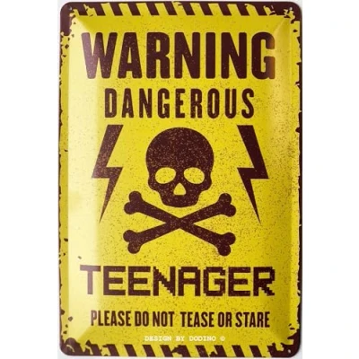 Abbildung von DODINO 20x30cm retro blechschilder WARNING DANGEROUS Teenager Jungen &amp; Mädchen Türschild Geschenkidee Zimmer Spruch Geschenk Idee Tür Deko Geburtstag