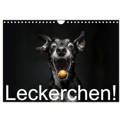 Abbildung von Leckerchen! (Wandkalender 2025 DIN A4 quer), CALVENDO Monatskalender: Hunde fangen Leckerchen (CALVENDO Spass)
