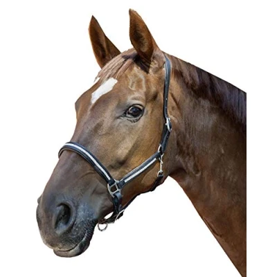 Abbildung von HKM Lederhalfter Diamond Schwarz Pony