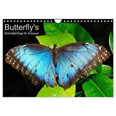 Abbildung von Butterfly&#039;s Schmetterlinge für Zuhause (Wandkalender 2025 DIN A4 quer), CALVENDO Monatskalender