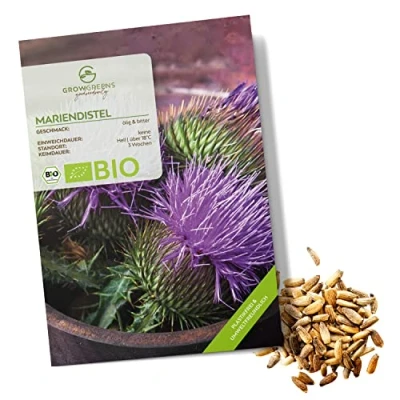 Abbildung von BIO Mariendistel Samen Heilkräuter Saatgut aus biologischem Anbau ideal für den heimischen Kräutergarten, Balkon &amp; Garten (50 Korn)