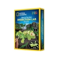 Abbildung von National Geographic Gecko Dissection Lab