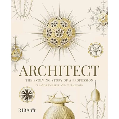 Abbildung von Architect: The Evolving Story of a Profession