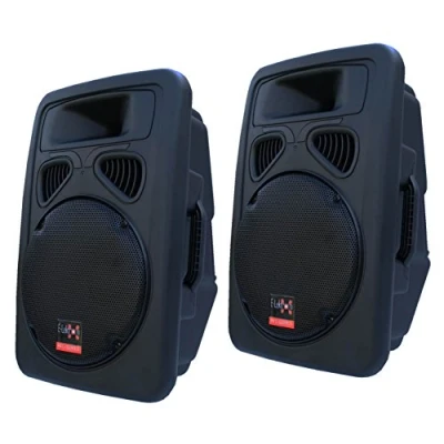 Abbildung von E Lektron JP30 DJ PA Lautsprecher Boxen Paar Passiv 30CM/12 Basslautsprecher