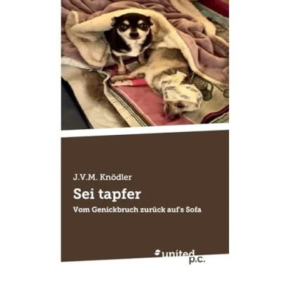 Abbildung von Sei tapfer: Vom Genickbruch zurück auf&#039;s Sofa