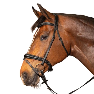 Abbildung von Harry&#039;s Horse Zaum Soft Carbon Black Edition SchwarzVerkauft von Agradi