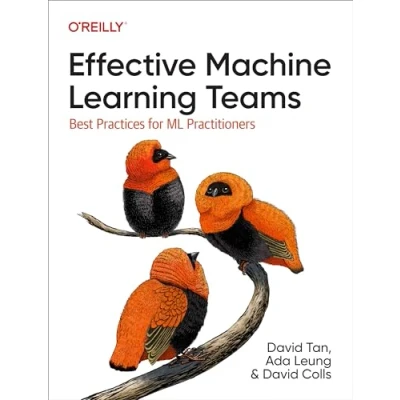 Abbildung von Effective Machine Learning Teams: Best Practices for ML Practitioners