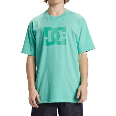 Abbildung von DC Shoes Pigment DYE HSS Tshirt print, Herren, Größe: Small, Biscay green enzyme wash