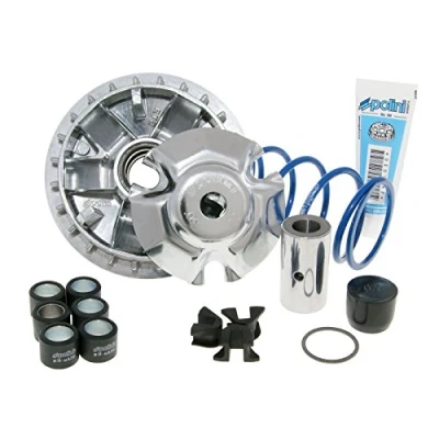 Abbildung von Variomatik Polini Maxi Hi Speed für Honda SH 150i 4T 13 KF13