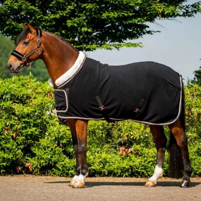 Abbildung von HB Show Rug Dutch Crown Europe Rose Schwarz 65/115 Agradi.deVerkauft von Agradi