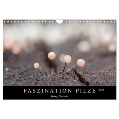 Abbildung von FASZINATION PILZE 2025 (Wandkalender DIN A4 quer), CALVENDO Monatskalender