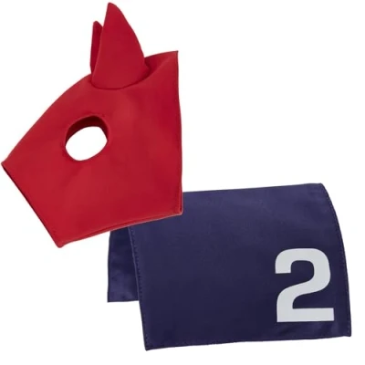 Abbildung von LeMieux Toy Pony Racing Lycra Hood &amp; Dekje