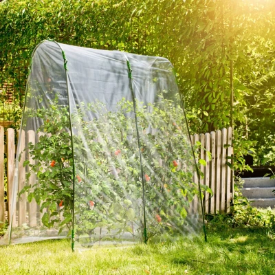 Abbildung von Windhager Pflanztunnel &quot;Tomaten Folientunnel&quot;, transparentes Folienzelt für optimalen Lichteinfall