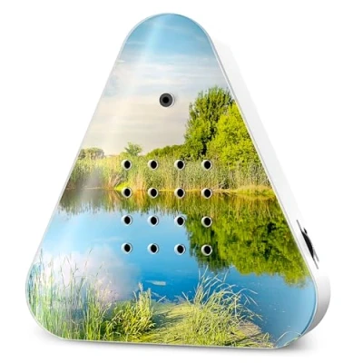 Abbildung von Relaxound GmbH Wanddekoobjekt Lakesidebox Summertime