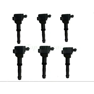 Abbildung von Zündspulen Set für Beru Porsche 996 Boxster 986 GT3 OEM 99660210201, 6 Stück