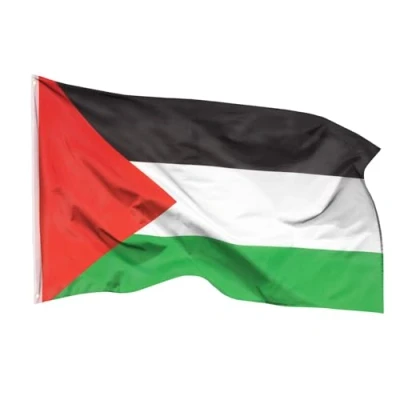 Abbildung von Aricona Palästina Flagge 90x150cm wetterbeständige Fahne mit Messingösen, 100% Polyester, robuste Doppelnaht &amp; in lebendigen Farben ideal für Flaggen Liebhaber, Palestinenser Freunde