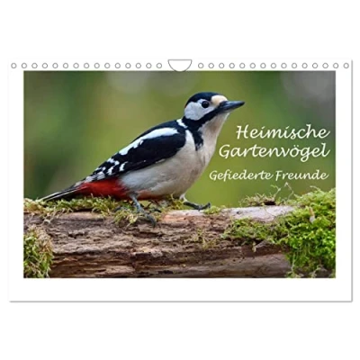 Abbildung von Heimische Gartenvögel Gefiederte Freunde (Wandkalender 2025 DIN A4 quer), CALVENDO Monatskalender