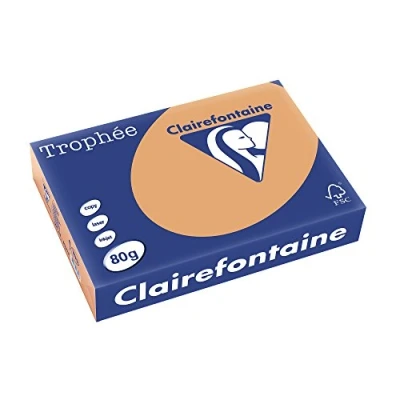Abbildung von 5 x Clairefontaine Kopierpapier Trophee A4 80g/qm VE=500 Blatt camel