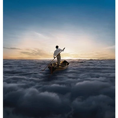 Abbildung von Endless River (180 Gr) [Vinyl LP]