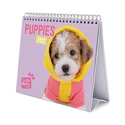 Abbildung von Grupo Erik Tischkalender 2022 Studio Pets Hunde Kalender Tischplaner Planer 2022, CS22013, Lila