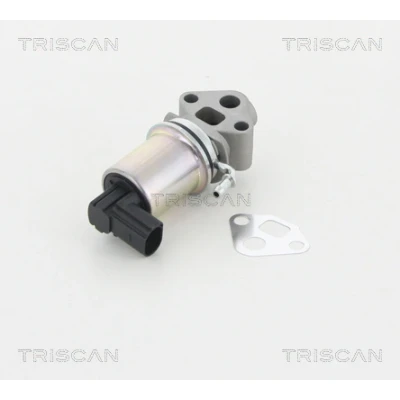 Abbildung von TRISCAN 8813 29007 AGR Ventil elektronisch mit Dichtungen VOLKSWAGEN: Golf 4 Schrägheck, Touran I, 5 AUDI: A3 Schrägheck