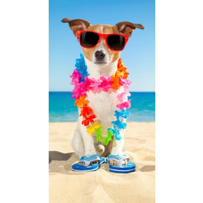 Abbildung von good morning Strandtuch &quot;Buddy&quot;, (1 St.), mit Hund &amp; Sonnenbrille