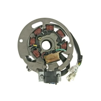 Abbildung von 2EXTREME Lichtmaschine kompatibel für ATU Explorer Spin GE 50, CPI Aragon GP Race GT Oliver City KEEWAY RY8, RIVERO SP 2, RY6 RY8 LONGJIA LJ50QT 4, BAOTIAN BT49QT 20C, MATRIX 08