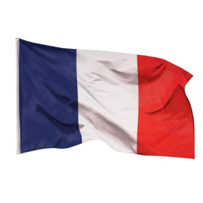 Abbildung von Aricona Frankreich Flagge 90x150cm wetterbeständige Fahne mit Messingösen, 100% Polyester, robuste Doppelnaht &amp; in lebendigen Farben ideal für Flaggen Liebhaber