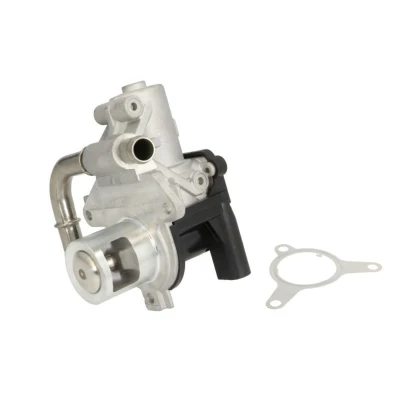 Abbildung von DELPHI EG10493 12B1 AGR Ventil ohne Kühler Hochdruckseite RENAULT: Clio 3, SCENIC 4 Schrägheck, NISSAN: Qashqai / Qashqai+2 I