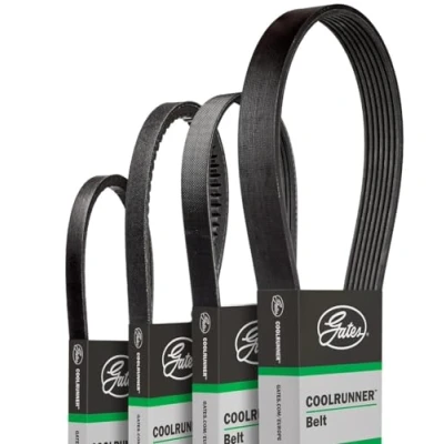 Abbildung von GATES CB0003 Keilrippenriemen 1605 6 Polyester, EPDM (Ethylen Propylen Dien Kautschuk)