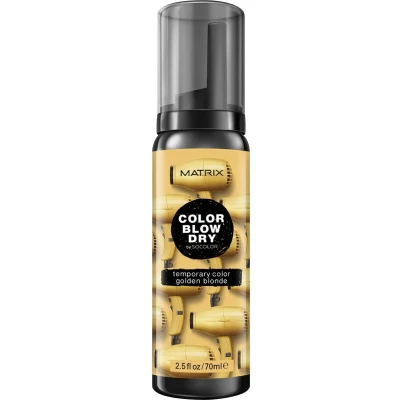 Abbildung von Color Blow Dry