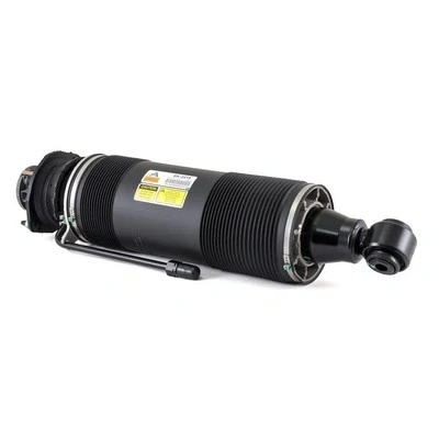 Abbildung von Arnott SK 2415 Luftfederbein hinten links