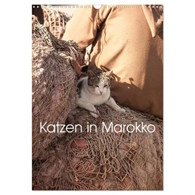 Abbildung von Katzen in Marokko (Wandkalender 2025 DIN A3 hoch), CALVENDO Monatskalender