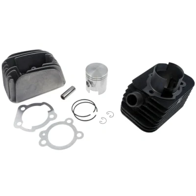 Abbildung von Polini Zylinder Racing 65cc / 4m Vespa Ciao Pin 10 (Pfeifentore)