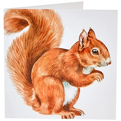 Abbildung von Maturi Blanko Grußkarte mit Aquarellbild rotes Eichhörnchen