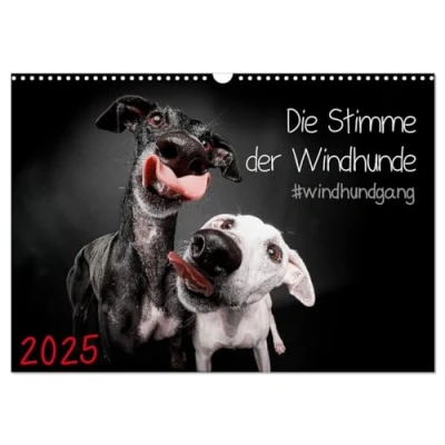 Abbildung von Die Stimme der Windhunde (Wandkalender 2025 DIN A3 quer), CALVENDO Monatskalender