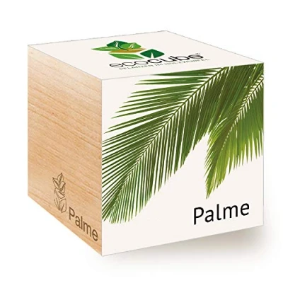 Abbildung von Feel Green Ecocube Palme, Nachhaltige Geschenkidee (100% Eco Friendly), Grow Your Own/Anzuchtset, Pflanzen Im Holzwürfel, Made in Austria