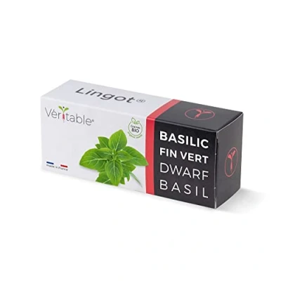 Abbildung von Véritable Lingot (Neuartige Aromatische Kräuter, Organic Dwarf Basil)