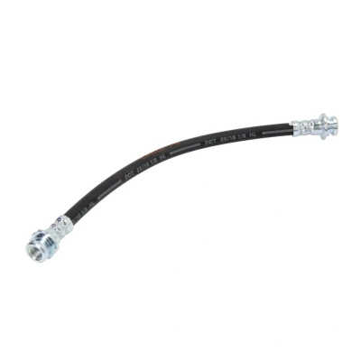 Abbildung von DELPHI LH6411 Bremsschläuche 301 M10x1 Int SF NISSAN: Micra 3, Note I, C+C 3