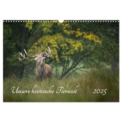 Abbildung von Unsere heimische Tierwelt (Wandkalender 2025 DIN A3 quer), CALVENDO Monatskalender