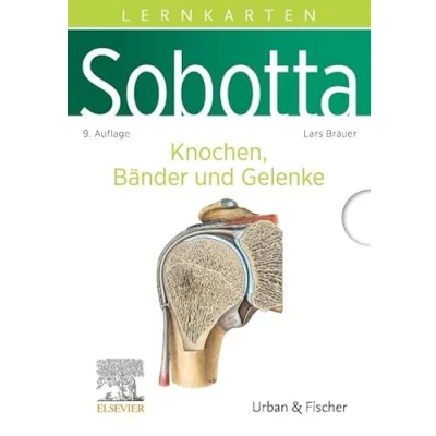 Abbildung von Sobotta Lernkarten Knochen, Bänder und Gelenke