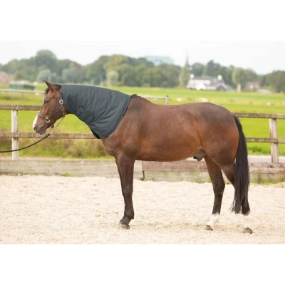 Abbildung von Harry&#039;s Horse Thor 200 Halsstück XL Schwarz