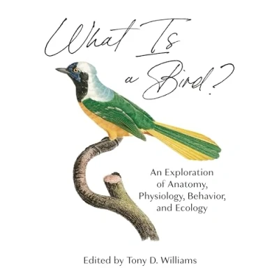 Abbildung von What Is a Bird? An Exploration of Anatomy, Physiology, Behavior, and Ecology