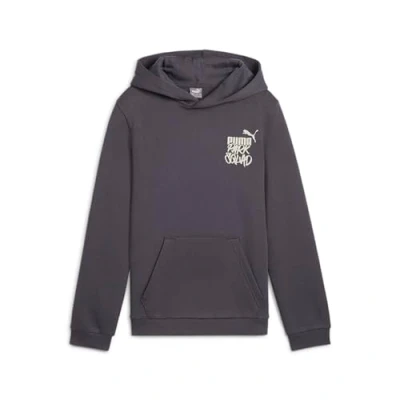 Abbildung von Puma Kapuzenpullover für Kinder, Größe: 140, Galactic gray
