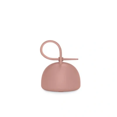 Abbildung von Suavinex, Schnullerhalter für Babys, flexibel, Silikonhülle, zum Tragen von 2 Schnullern, mit Griff Aufhängen, 0 Monate, Colour Essence, Nude