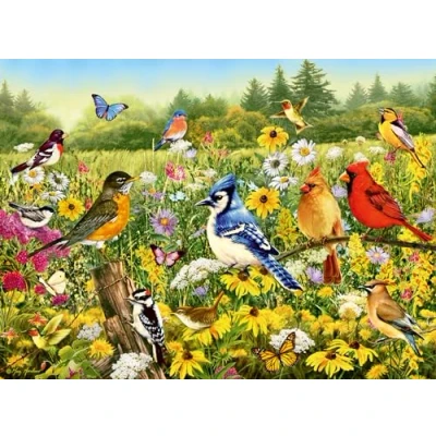 Abbildung von Ravensburger Puzzle Vogelwiese, 500 Puzzleteile, Made in Germany
