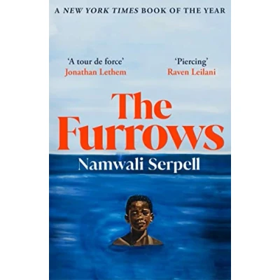 Abbildung von The Furrows: From Prize winning author of Old Drift