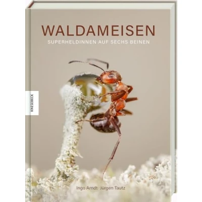 Abbildung von Waldameisen: Superheldinnen auf sechs Beinen. Naturfotografie Bildband mit einmaligen Einblicken in das Leben der Insekten