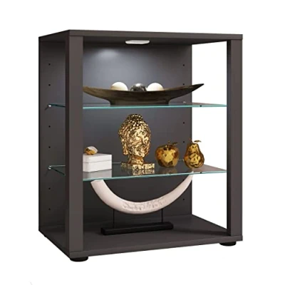 Abbildung von VCM Standvitrine Holz Glas Stand Vitrine Sammelvitrine Glasol S